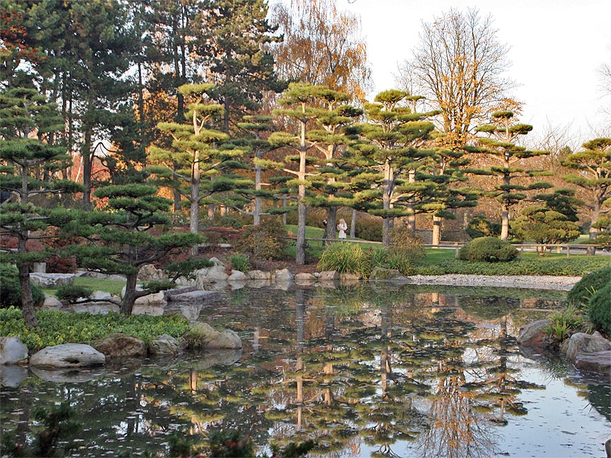 japanischer garten im nordpark, düsseldorf