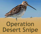 ah, a reference to an unofficial nickname for Operation Desert Storm