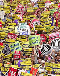 Close-up of women's banners