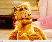 ALF