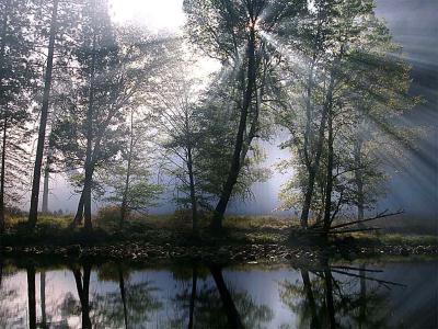 Nebel des Grauen