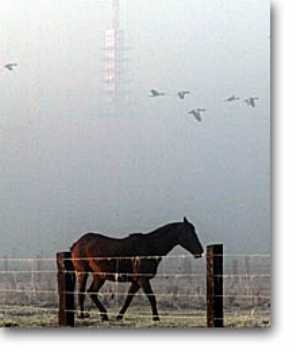 Nebel über Hannover