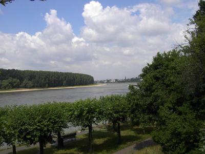 Gevatter Rhein