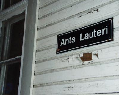 ants lauteri