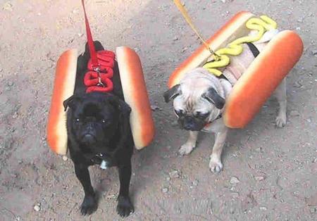 Hot Dog