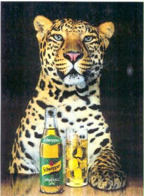 SCHWEPPES