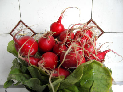 So sehen Erdbeeren von unten aus wenn man sie umdreht