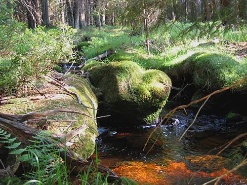 ilse_brocken_harz