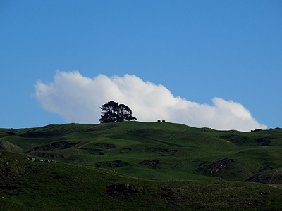 Waimarama - New Zealand - 28 April 2014 - 12:44
