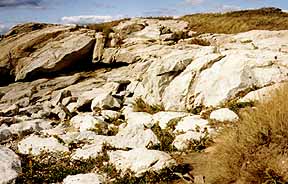 felsen am meer