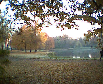 Morgenspaziergang, dem jungen Kinde auf dem Fahrrad hinterhereilend