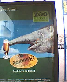 Nam Nam, Baby-Elefant zu Trinker gemacht