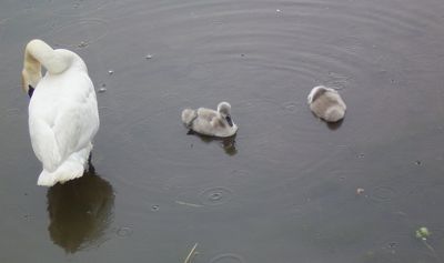 Familienwäsche