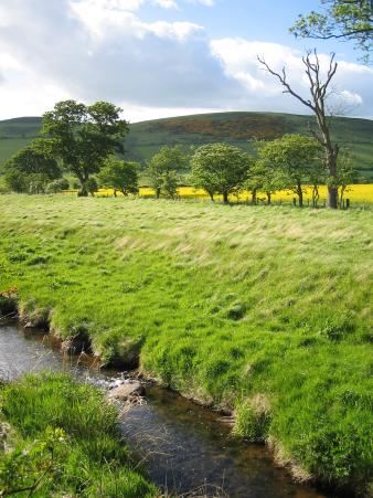 Landschaft Cheviot Hills