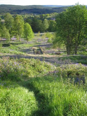 Am &quot;Queen Elisabeth Forest Park Visitor Center“