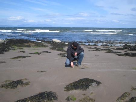 Am Strand von &quot;Ayr Head&quot;