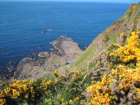 Giant's Causeway - Vogelperspektive