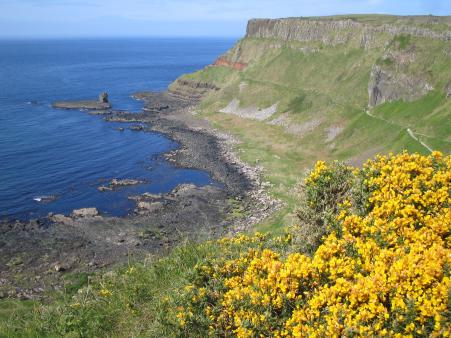 Wanderweg zum Giant's Causeway