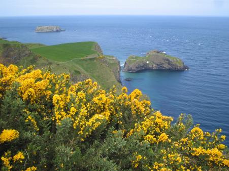 Portaneevy Car Park - Blick zur Carrick-a-Rede Hängebrücke