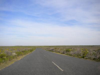 on the road to nowhere - auf dem Weg zum Cape Point