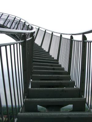 Magic Mountain Tiger &amp; Turtle