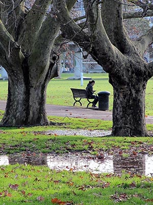 Victoria Park - Auckland - New Zealand - 25 June 2014 - 15:32