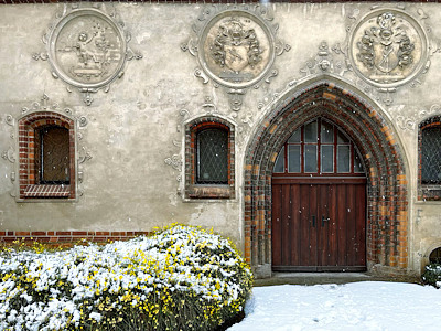 Winter-Jasmin an der Nikolaikirche