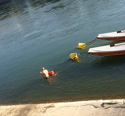 Ein offenbar nicht ganz Normaler zittert sich durch den Rhein bei Acht Grad Wassertemperatur