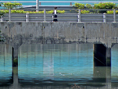 Der 'echte' Blaumilchkanal - Pasir Ris Drive 1 - Sungei Api Api - Singapore