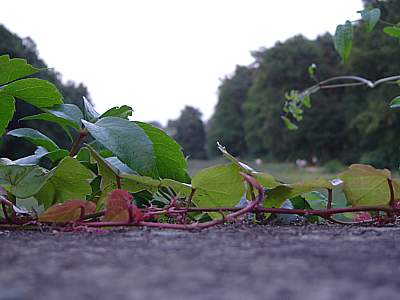 stadtpark harburg