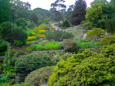 Rhododendronpark