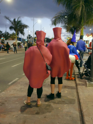 Carnaval Corralejo