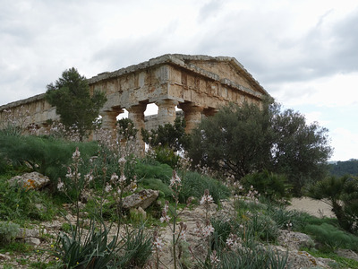 tempio di segesta