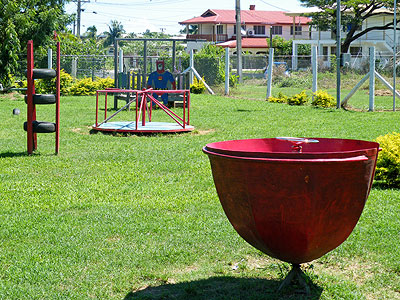 Dr Hari Kewal Park - Nadi - Viti Levu - Fiji Islands - 24 March 2010 - 14:47