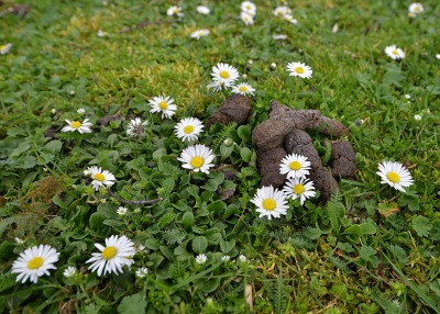 Quelle: Fruehling.jpg