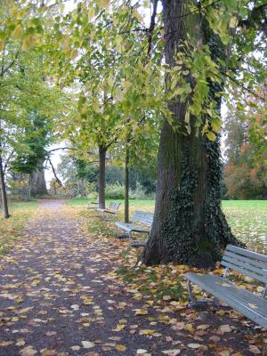 Wanderers Rast (grün)