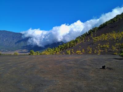 El Pilar. La Palma