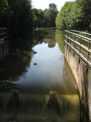 Die Erft bei Grevenbroich-Wevelinghoven