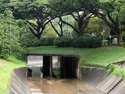 Sungei Ulu Pandan x Commonwealth Ave West - Buona Vista - Singapore - 9 July 2014 - 11:30