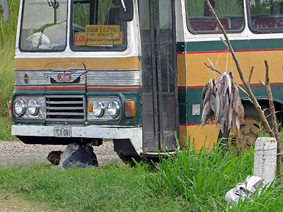 Queens Road near Lomowai turnoff - Fiji Islands - 11 February 2011 - 14:12