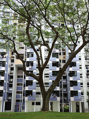 Block 119 - Bedok North Road - Singapore - 14:14