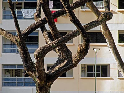 Esher Baum - Car Park - Block 423 - Ang Mo Kio - Singapore