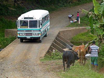 Ba - Navala Road - Viti Levu - Fiji Islands - 26 November 2009 - 13:31