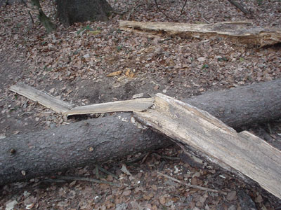 Brücke drüberschnitzen!