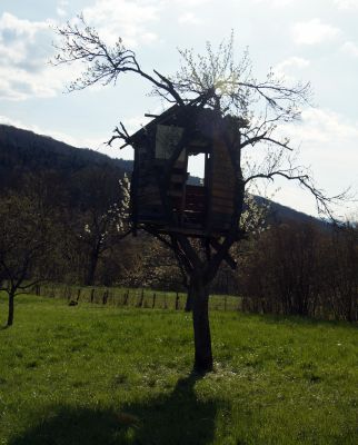 Bumhaus bi Leymen (F), was wirklich zu klein ist, um ein eigenes Thema dafür aufzumachen. Elsaß ist keine Stadt und Basel zwar die nächste Stadt aber in einem anderen Land. 