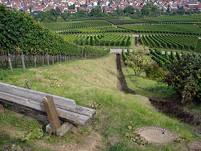 Blick auf Luginsland