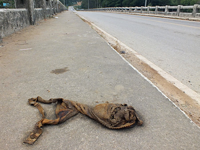 Highway 4 - Thanon Phet Kasem - Bang Kaeo - Ranong - Thailand - 25 February 2013 - 10:02