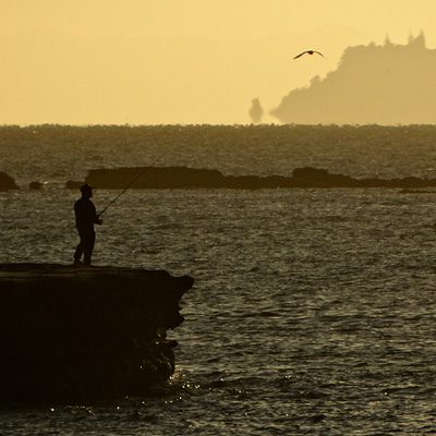 Browns Bay - Auckland - 6 March 2014 - 7:34