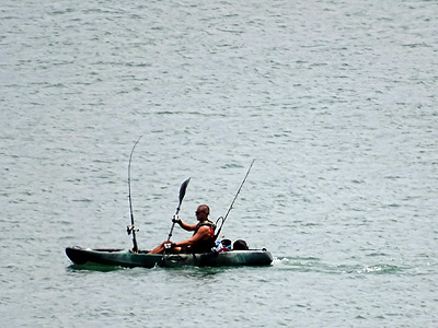 Little Shoal Bay - Northcote Point - Auckland - New Zealand - 15 February 2015 - 14:04