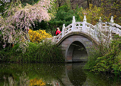 chinesischer garten